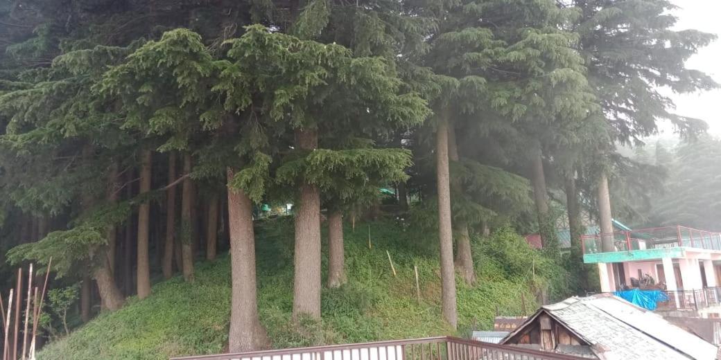 Hotel Forest View Lāhri Kültér fotó