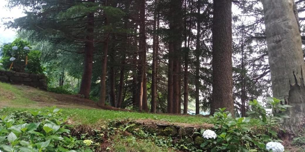 Hotel Forest View Lāhri Kültér fotó